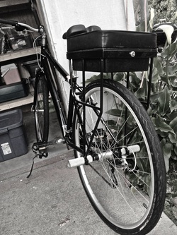 Companion Bike Seat